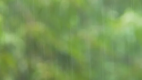 Rainy Day At Summer Time Stock-Footage 143894856