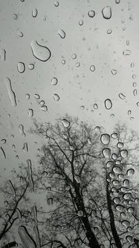 Rainy Day Through a Window: Captivating Drops of Water Clinging to Glass with Stock Photos