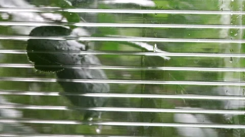 Rainy day through the window Video stock 134677616