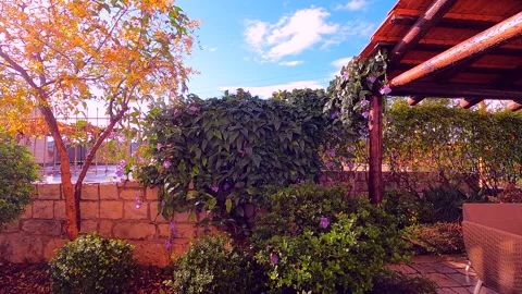 Rainy day timelapse. Garden view in winter season. Rain storm Stock Footage 167608378