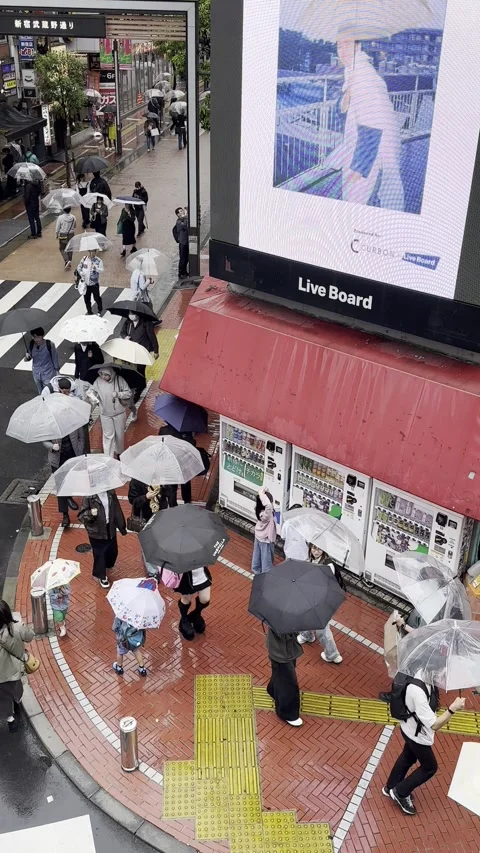 Rainy Day in Tokyo Stock Footage 317592083