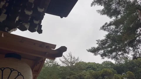 Rainy day top view Stock Footage 236266311