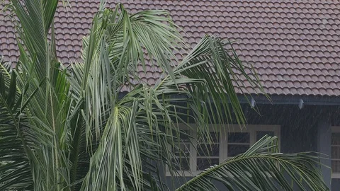 Rainy Day in Tropical. Rain Falling into the House Roof. Static and Handheld Stock Footage 130048269