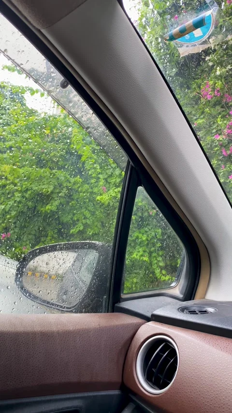 Rainy Day View Inside a Car with Lush Greenery Stock Footage 332017588
