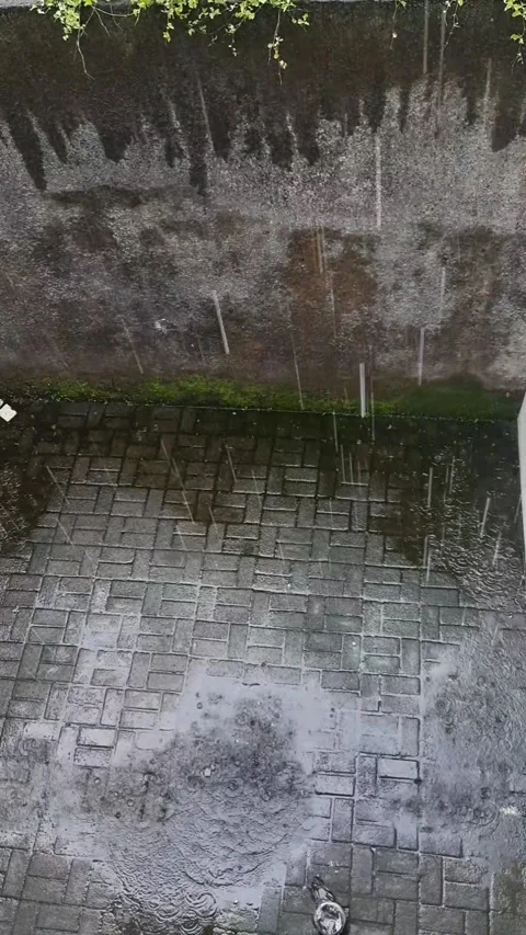 Rainy day view from the window of the building Stock Footage 291362441