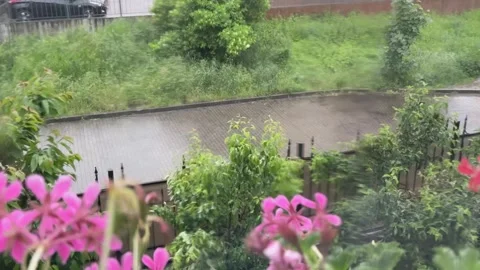 Rainy day view from window with flowers Video stock 320949119