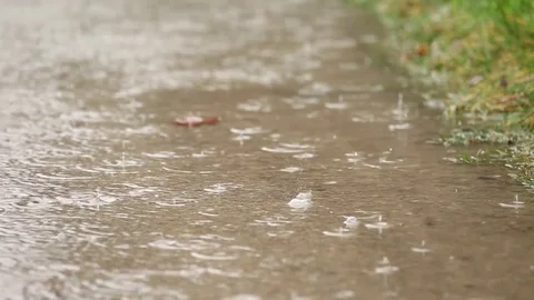 A rainy day, watching in a puddle Stock Footage 82045086