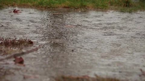 A rainy day, watching in a puddle Stock Footage 82045393