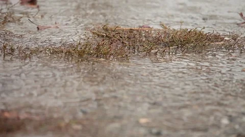 A rainy day, watching in a puddle Stock Footage 82045496