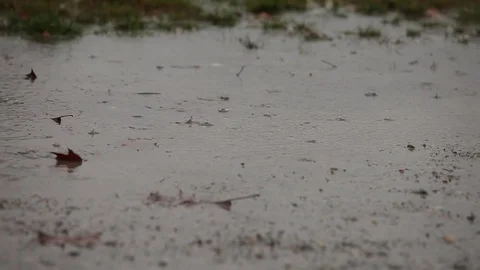 A rainy day, watching in a puddle Stock Footage 82045664