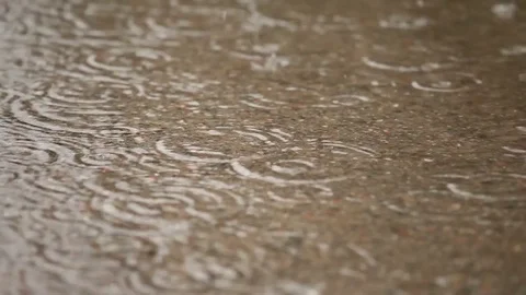 A rainy day, watching in a puddle Stock Footage 82184450