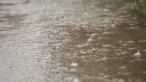 A rainy day, watching in a puddle Stock Footage 82196448