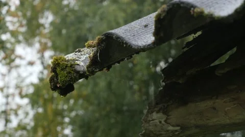 On a rainy day, water flows from an old slate roof covered with moss Stock Footage 164713405