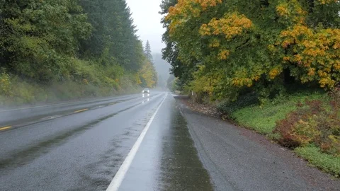 Rainy day wet roads with fall colors. Video stock 81466323