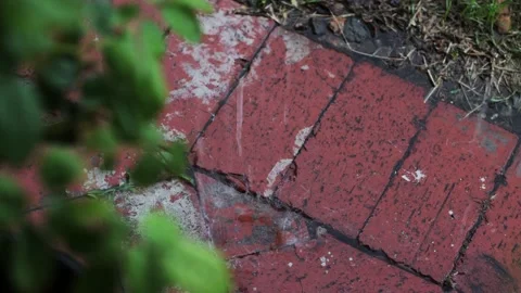 Rainy Day With Wind, Wet Brick Floor, Patio, 4K, Real Time Stockbeeldmateriaal 237214562