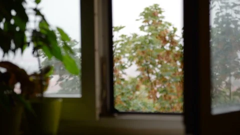 Rainy day from a window view Video stock 103953911
