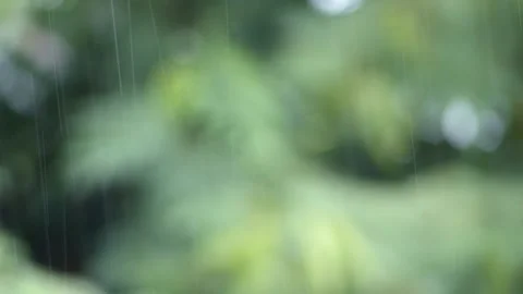 Rainy day1 Stock Footage 139627618