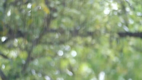 Rainy day4 Stock Footage 140393315