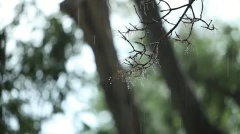 Rainy days Video stock 20523527