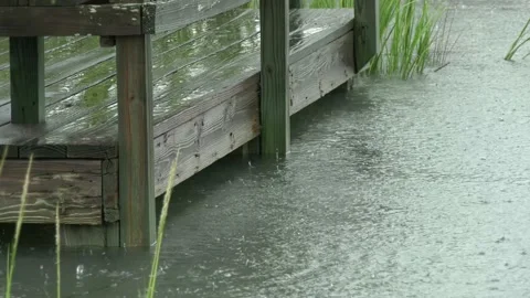 Rainy dock in the marsh Stock Footage 161183785