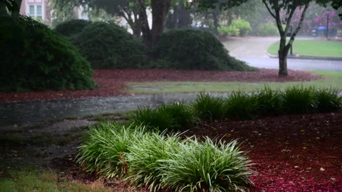 Rainy Driveway Storm Stock Footage 201610650