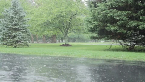 Rainy Driveway Suburbs Video stock 81688489
