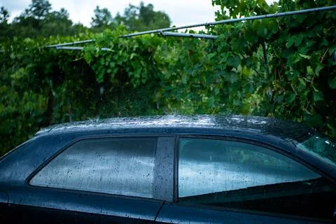 Rainy Drops on Car Stock Photos
