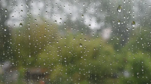 Rainy drops Stock Footage 130147164