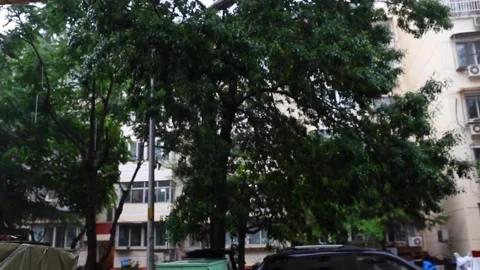 Rainy eaves Stock Footage 235132020