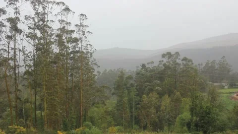 Rainy evening in the mountains Stock Footage 249361112