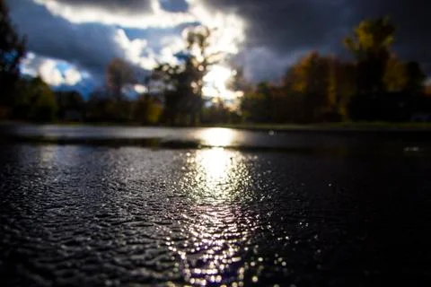 Rainy Fall Day Stock Photos