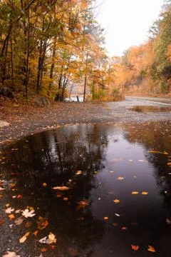 Rainy fall Stock Photos