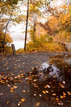 Rainy fall Stock Photos