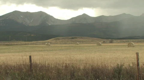 Rainy Field Stock Footage 270324