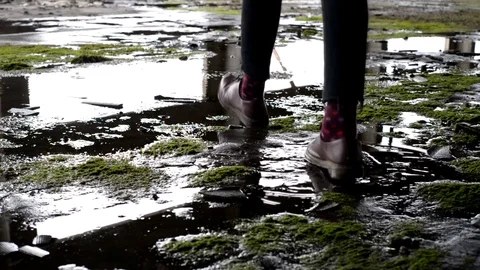 Rainy Stock Footage 103250503