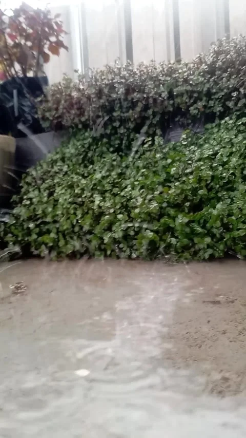 Rainy Stock Footage 242661622