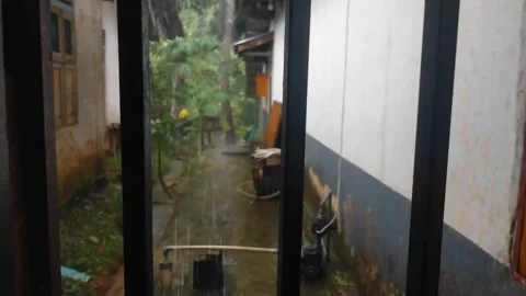 Rainy Stock Footage 243345079