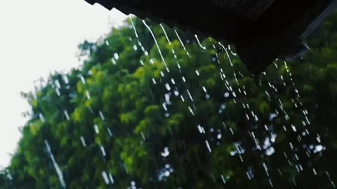 Rainy Video stock 245441093