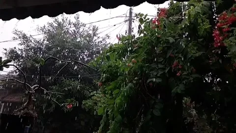 Rainy Stock Footage 285914472