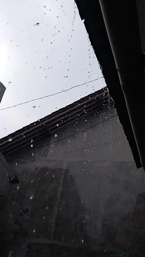Rainy Stock Footage 316578191