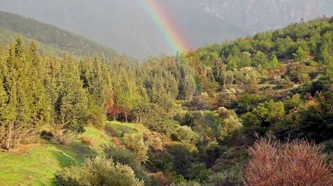 Rainy Forest and Rainbow On The Mountains Vídeos de archivo 56119176
