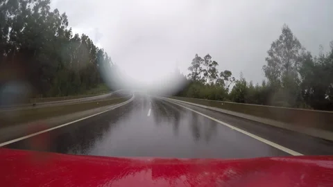 Rainy Forest Highway View from Pickup Hood Stock Footage 306767613