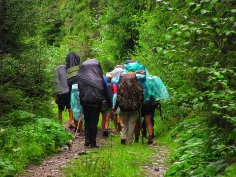 Rainy Forest Hike Stock Photos