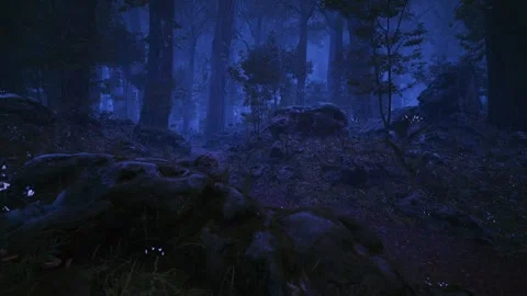 Rainy Forest Path Stock Footage 321470981