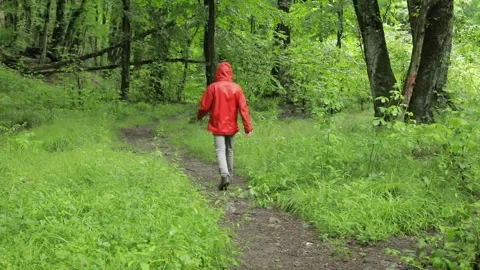 Rainy Forest Path with Man in Red Coat Stock Footage 342023871