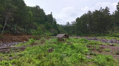 Rainy forest stream flows through rocky bed Stock Footage 335186443