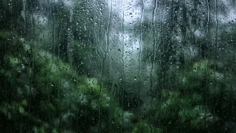 Rainy forest view through a frosted window pane. 4K 스톡 동영상 343244016