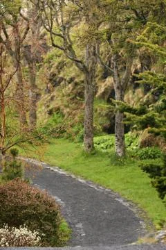 Rainy garden Stock Photos