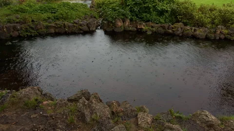 Rainy garden pond with rock border, rippling dark water, and lush green plants Stock Footage 345452809