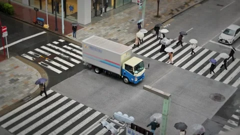 Rainy Ginza Tokyo Intersection Crosswalk Umbrella Pedestrian Scene Vidéo 335089755